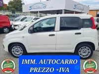 Usata Fiat Panda 80 CV (58 kW) 2018 Bianco Utilitaria