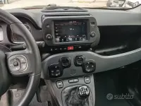 Usata Fiat Panda 69 CV (50 kW) 2019 Utilitaria