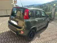 Usata Fiat Panda 4x4 S 86 CV (63 kW) 2018 Verde Utilitaria