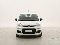 Usata Fiat Panda Easy 69 CV (50 kW) 2020 Bianco Utilitaria