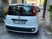 Usata Fiat Panda 69 CV (50 kW) 2017 Bianco Utilitaria