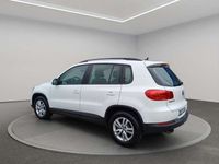Usata VW Tiguan Trendline 122 CV (89 kW) 2014 Bianco SUV