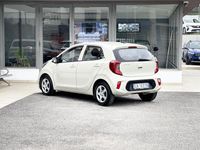 Usata Kia Picanto 67 CV (49 kW) 2023 Verde Utilitaria