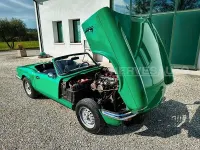 Usata Triumph Spitfire 72 CV (52 kW) 1978 Verde Cabrio