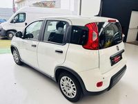 Usata Fiat Panda S 69 CV (50 kW) 2024 Bianco Utilitaria
