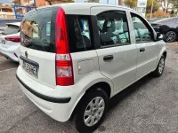 Usata Fiat Panda Active 54 CV (39 kW) 2007 Bianco Utilitaria