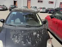 Usata Fiat Grande Punto Dynamic 77 CV (56 kW) 2009 Utilitaria