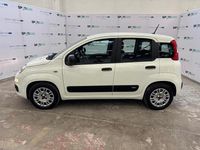 Usata Fiat Panda Easy 70 CV (51 kW) 2020 Bianco Utilitaria