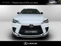 Nuova Lexus RX500h Sport Line 371 CV (272 kW) 2025 Smooth f sport leatherdark rose fsport+ SUV