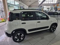 usata Fiat Panda Cross Cross 1.0 FireFly S&S Hybrid nuova a Prato