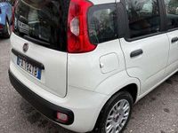 Usata Fiat Panda Lounge 69 CV (50 kW) 2015 Bianco Utilitaria
