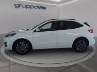 Usata Ford Kuga ST-Line X 190 CV (139 kW) 2022 Bianco metallizzato SUV