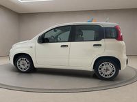 Usata Fiat Panda 69 CV (50 kW) 2021 Bianco Utilitaria
