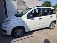 Usata Fiat Panda Easy 75 CV (55 kW) 2013 Bianco Utilitaria