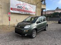 Usata Fiat Panda 4x4 S 75 CV (55 kW) 2013 Verde Utilitaria