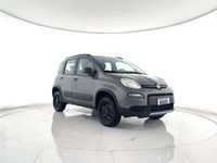Usata Fiat Panda 4x4 Connect 86 CV (63 kW) 2022 Grigio metallizzato Utilitaria