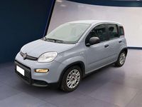 Usata Fiat Panda S 69 CV (50 kW) 2022 Grigio Utilitaria