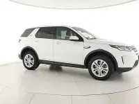 Usata Land Rover Discovery 5 S 150 CV (110 kW) 2020 Bianco SUV