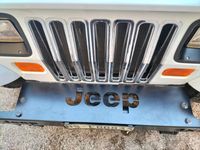 usata Jeep Wrangler 1991 ASI