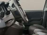 Usata Fiat Panda 70 CV (51 kW) 2021 Grigio Utilitaria