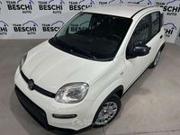 Usata Fiat Panda City Life 70 CV (51 kW) 2023 Bianco(met.) Utilitaria