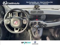 Usata Fiat Panda 4x4 S 95 CV (69 kW) 2017 Bianco Utilitaria