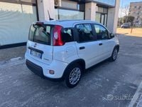 Usata Fiat Panda S 70 CV (51 kW) 2024 Bianco Utilitaria