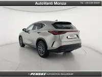 Usata Lexus NX450h+ 309 CV (227 kW) 2023 Argento SUV