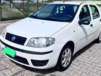 usata Fiat Punto 1.3 JTD Multijet Active