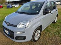 usata Fiat Panda 1.2 Easy