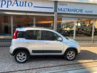 Usata Fiat Panda 4x4 75 CV (55 kW) 2014 Argento Utilitaria