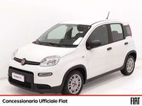 usata Fiat Panda 1.0 firefly hybrid s&s 70cv 5p.ti