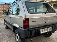 Usata Fiat Panda 4x4 Trekking 54 CV (39 kW) 1998 Utilitaria