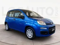 Usata Fiat Panda Icon 69 CV (50 kW) 2025 Blu Utilitaria
