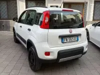 Usata Fiat Panda 4x4 S 95 CV (69 kW) 2018 Bianco Utilitaria