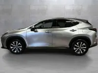 Usata Lexus NX450h+ Executive Line 185 CV (136 kW) 2023 Grigio SUV