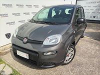 Usata Fiat Panda City Life 69 CV (50 kW) 2023 Grigio Utilitaria