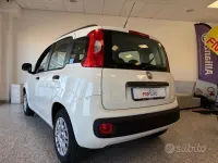 Usata Fiat Panda Easy 86 CV (63 kW) 2013 Bianco Utilitaria