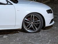 Immagine 3