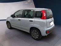 Usata Fiat Panda S 69 CV (50 kW) 2022 Grigio Utilitaria