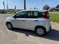 Usata Fiat Panda Easy 69 CV (50 kW) 2017 Argento Utilitaria