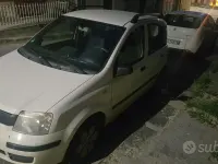 Usata Fiat Panda 54 CV (39 kW) 2009 Bianco Utilitaria