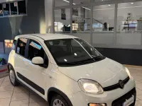 Usata Fiat Panda Easy 71 CV (52 kW) 2020 Bianco Utilitaria