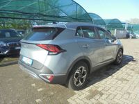 usata Kia Sportage 1.6 CRDI 136 CV DCT7 2WD Mild Hybrid Business Clas