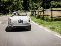 Usata Alfa Romeo Giulietta 80 CV (58 kW) 1960 Bianco Utilitaria