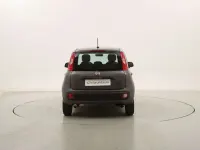 Usata Fiat Panda Easy 69 CV (50 kW) 2021 Antracite Utilitaria