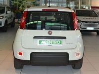 usata Fiat Panda - MY21 1.0 70CV HYBRID CITY LIFE