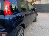 Usata Fiat Panda Easy 80 CV (58 kW) 2019 Utilitaria