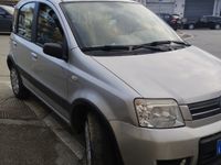 Usata Fiat Panda 60 CV (44 kW) 2005 Grigio Utilitaria