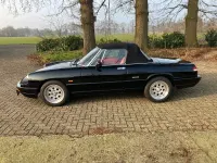 Usata Alfa Romeo Spider 120 CV (88 kW) 1991 Nero Cabrio